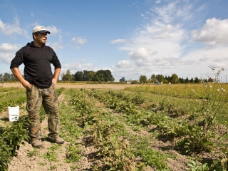 Mike Hashem Owner of Bella Organic Farm on Sauvie Island